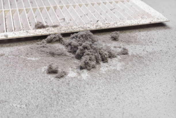 Best Professional Duct Cleaning Services  in Seven Corners, VA