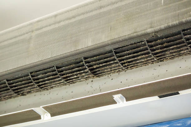 Best Air Duct Mold Removal  in Seven Corners, VA