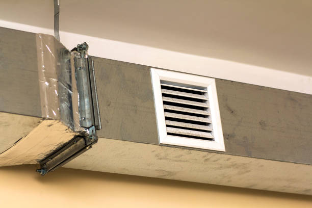 Air Duct Mold Removal in VA